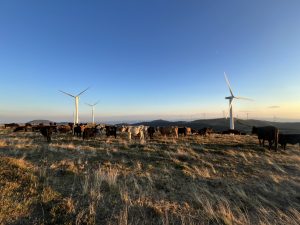 Суперяхтата Luminara прави 1-во посещение в пристанище на континентален Китай в Шанхай