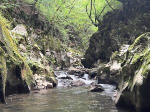 Nissan става първият световен автомобилен производител, който си партнира с Huawei за интелигентен кокпит · TechNode