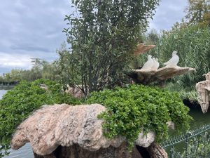 Китай ще добави „по-насочени, включващи“ стандарти за листване към борда на ChiNext: регулатор на ценни книжа