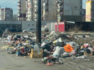 Регионът на ШОС вижда огромен потенциал в икономическото и търговското развитие