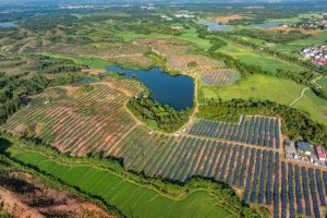 Outlander отваря предварителна регистрация · TechNode