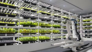 Може ли бъдещето на земеделието на Сингапур да расте в селскостопанския център на Малайзия, който струва 123 милиона щатски долара?