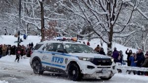 Полицията в Ню Йорк арестува мъж, след като полицаи бяха замеряни по време на бой със снежни топки
